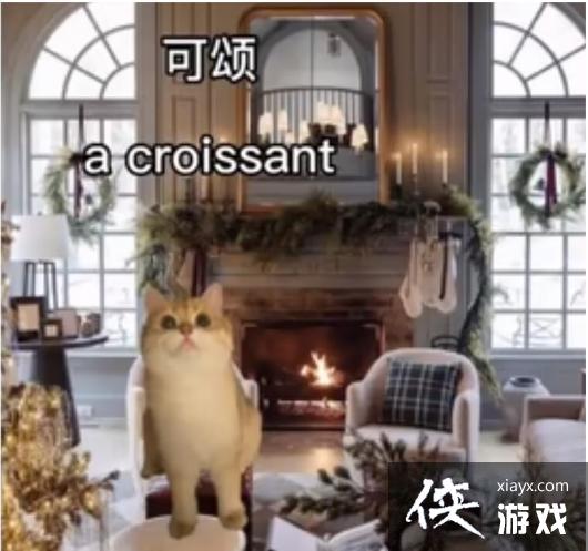 ������������è�������ȫ����