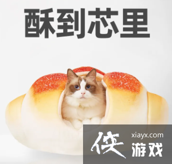 ������������è�������ȫ����