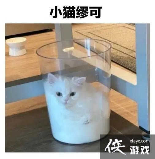 ������������è�������ȫ����