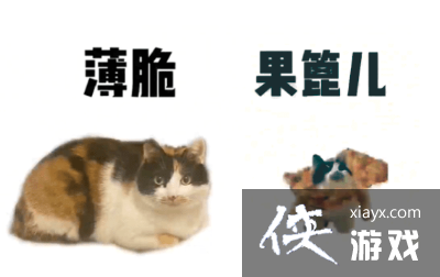 ������������è�������ȫ����