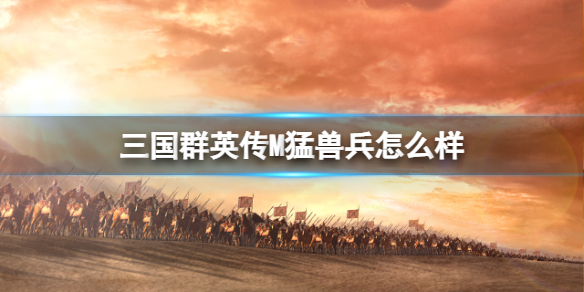 ����ȺӢ��M���ޱ���ô��