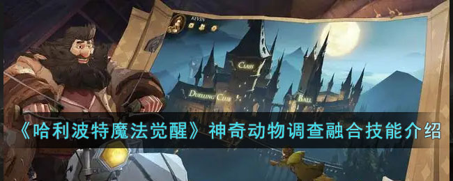 ����������ħ�����ѡ����涯������ںϼ��ܽ���