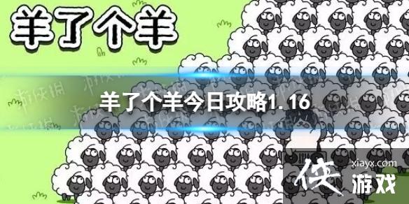 羊了个羊今日攻略1.16 羊了个羊今日攻略1.16