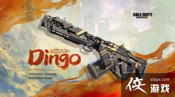 ʹ���ٻ�����dingo��ô��