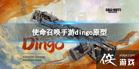 ʹ���ٻ�����dingo��ô��