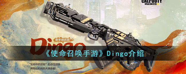 ��ʹ���ٻ����Ρ�Dingo����