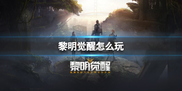 ����������ô��