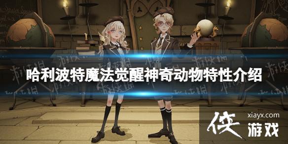 ��������ħ���������涯��������ʲô