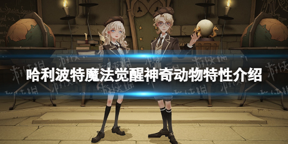 ��������ħ���������涯��������ʲô