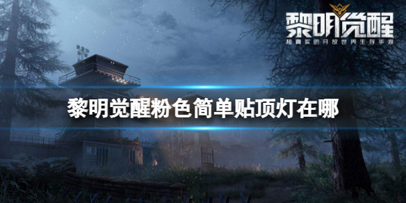 �������ѷ�ɫ������������