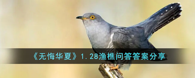 ���޻ڻ��ġ�1.28�����ʴ�𰸷���