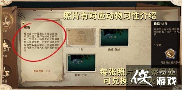 ��������ħ������������ô��