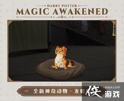 哈利波特魔法觉醒2月神奇动物 哈利波特魔法觉醒2月神奇动物