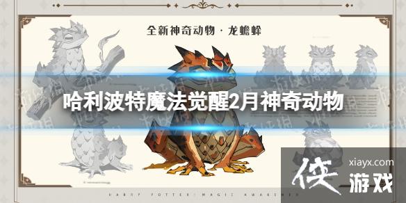 哈利波特魔法觉醒2月神奇动物 哈利波特魔法觉醒2月神奇动物