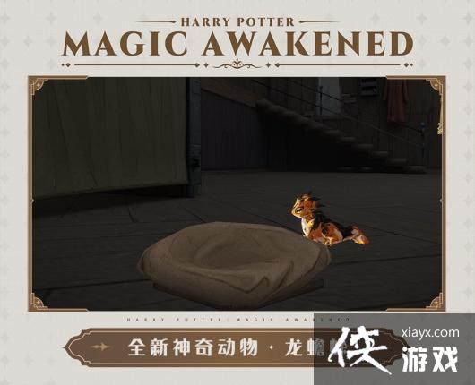 哈利波特魔法觉醒2月神奇动物 哈利波特魔法觉醒2月神奇动物