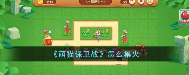 ����è����ս����ô����