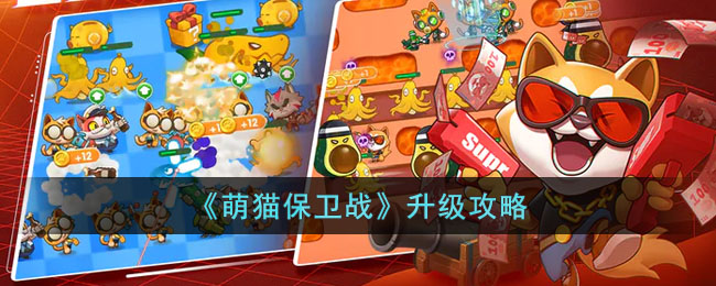 ����è����ս����������