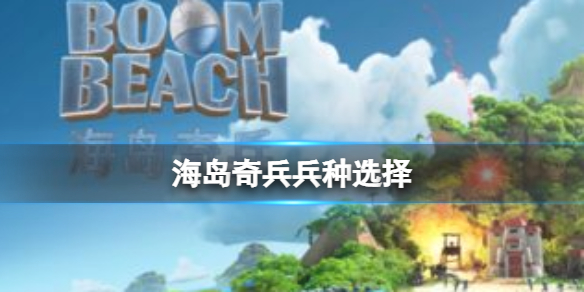 �����������ѡ��