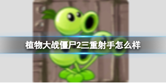 ֲ���ս��ʬ2����������ô��