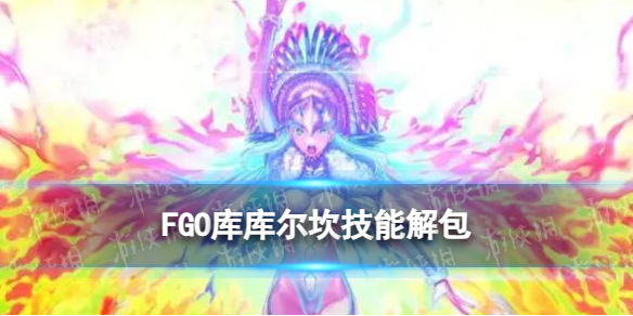 FGO���������ܽ��