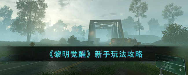 ���������ѡ������淨����