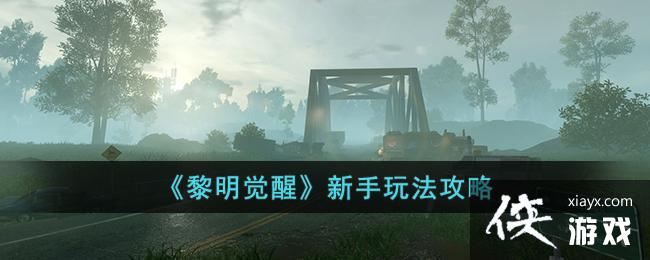 ���������ѡ������淨����