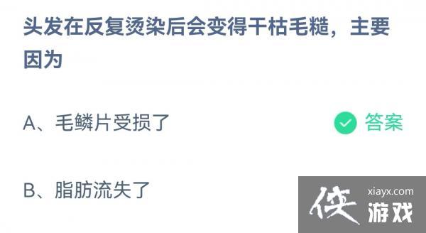 ��֧������2023����ׯ԰2��3�մ�����