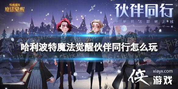 哈利波特魔法觉醒伙伴同行怎么玩 哈利波特魔法觉醒伙伴同行怎么玩