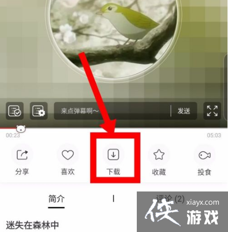 ��è��FM��������Ƶ����