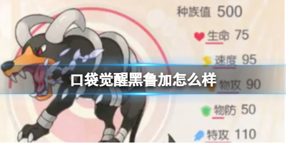 �ڴ����Ѻ�³����ô��