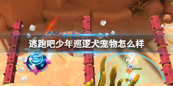 ���ܰ�����Ѳ��Ȯ������ô��