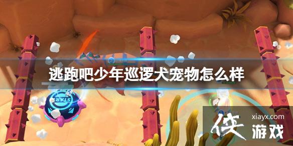 ���ܰ�����Ѳ��Ȯ������ô��