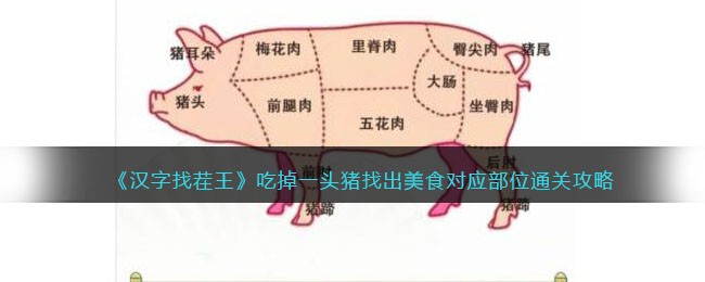 �������Ҳ������Ե�һͷ���ҳ���ʳ��Ӧ��λͨ�ع���