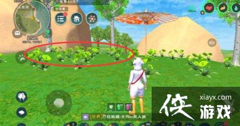 ������ħ����ɫ��С���ֲ�ͼ