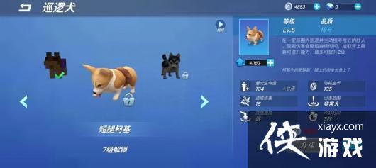 �����ܰ����꡷Ѳ��Ȯ�ص㼼��