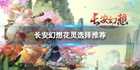 �������뻨��ѡʲô��