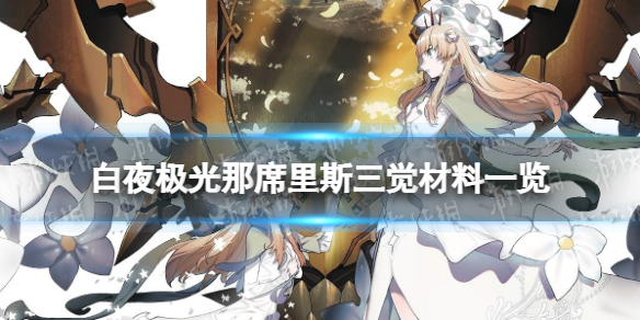 ��ҹ������ϯ��˹��������һ��