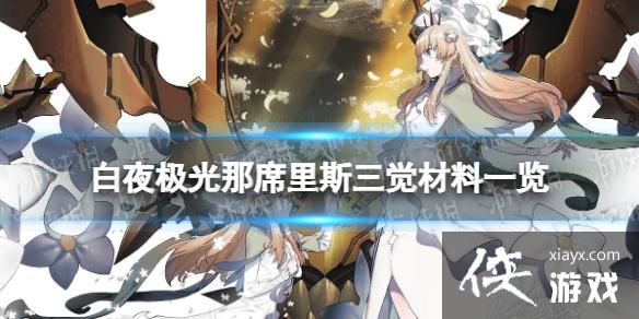 ��ҹ������ϯ��˹��������һ��