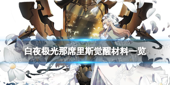 ��ҹ������ϯ��˹���Ѳ���һ��