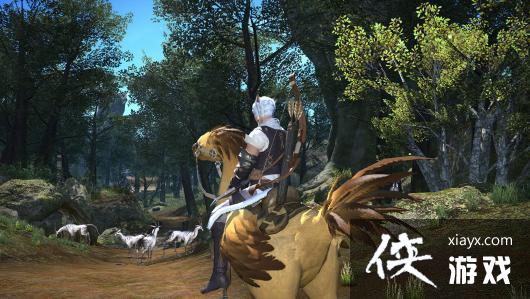 ������������󣬡����ջ���14����ͣ���ݲ������