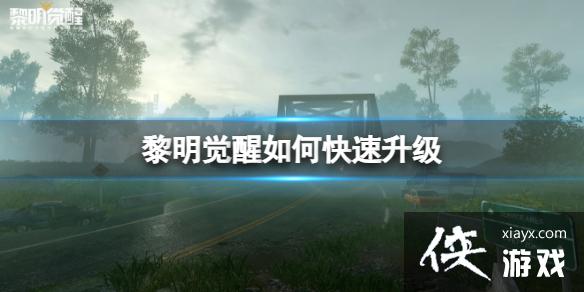 ����������ο�������