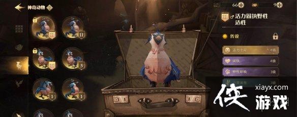 ��������ħ�����Ѻ�ɫ�ۼ�10��ô��