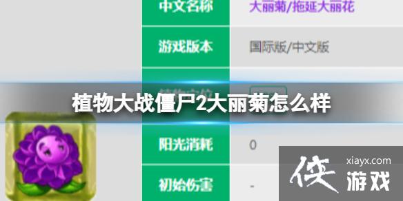 植物大战僵尸2大丽菊怎么样 植物大战僵尸2大丽菊怎么样