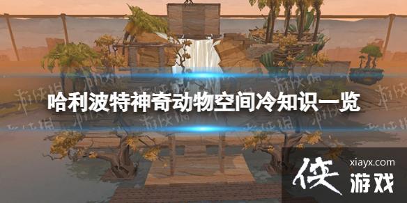 ��������ħ���������涯��ռ��淨����