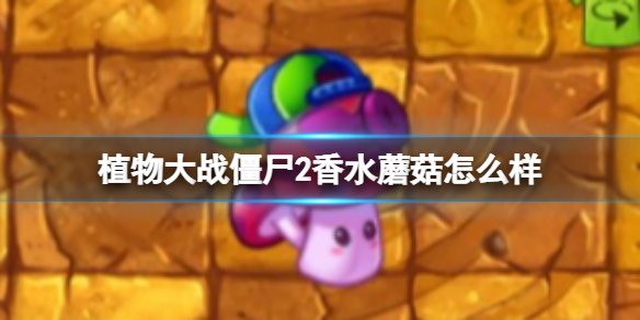 ֲ���ս��ʬ2��ˮĢ����ô��