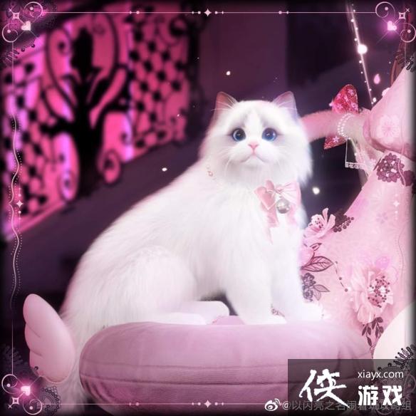 ������֮������������װ����