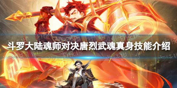 ���޴�½��ʦ�Ծ���������������ܽ���