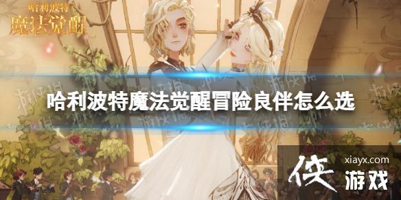 哈利波特魔法觉醒冒险良伴怎么选 哈利波特魔法觉醒冒险良伴怎么选