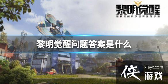 ���������������ʲô