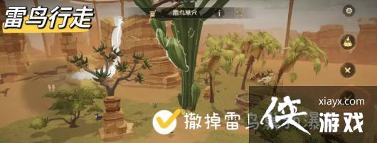 ����������ħ�����ѡ����涯��ռ�������